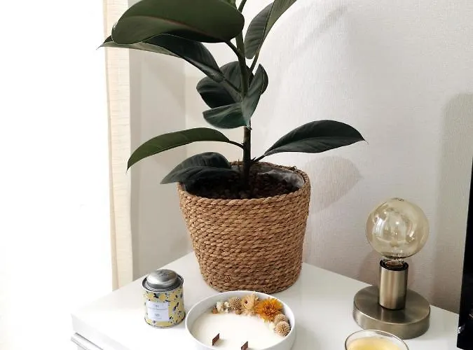 Lejlighed Appt Cosy Chic, 4 Couchages + Lit Bebe, 12e Paris