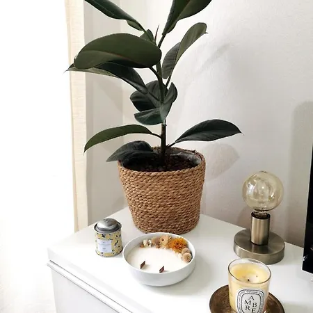 Apartment Appt Cosy Chic, 4 Couchages + Lit Bebe, 12e Paris